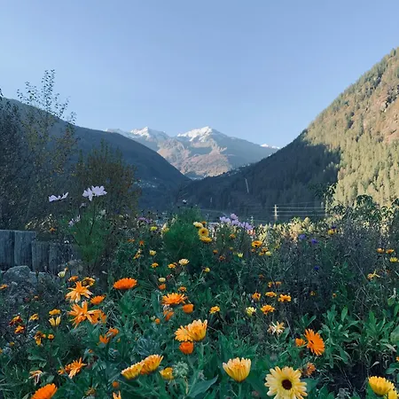 Appartamento Passo Del Tonale Lägenhet